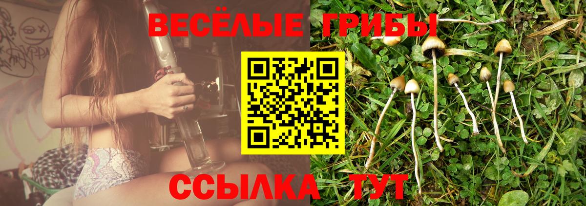 Псилоцибиновые грибы Cubensis Бузулук